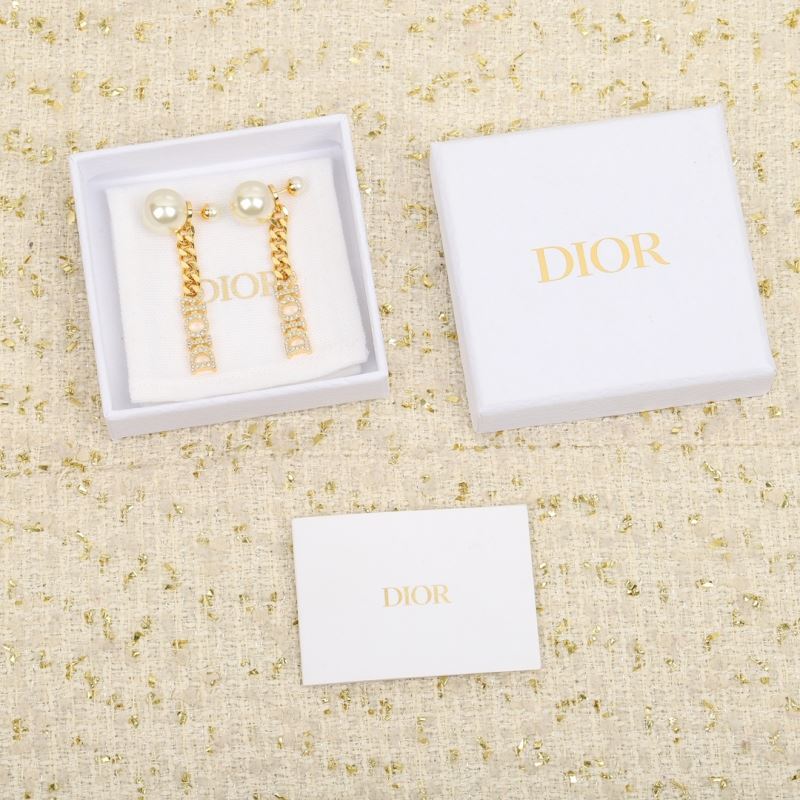 Christian Dior Earrings